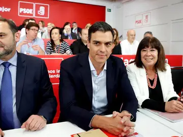 Pedro Sánchez en la reunión del Comité Federal del PSOE Pedro Sánchez en la reunión del Comité Federal del PSOE