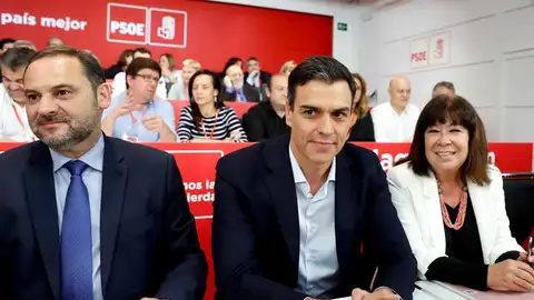Pedro Sánchez en la reunión del Comité Federal del PSOE Pedro Sánchez en la reunión del Comité Federal del PSOE