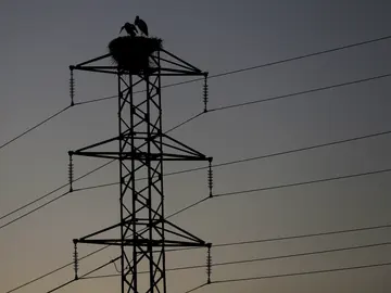 Imagen de un tendido eléctrico Imagen de un tendido eléctrico