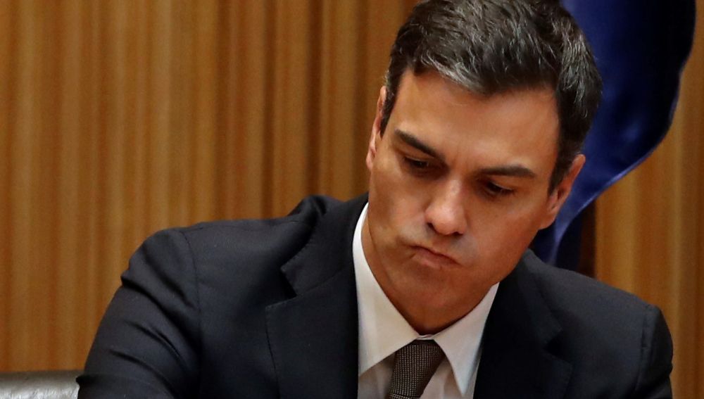 El secretario general del PSOE, Pedro Sánchez