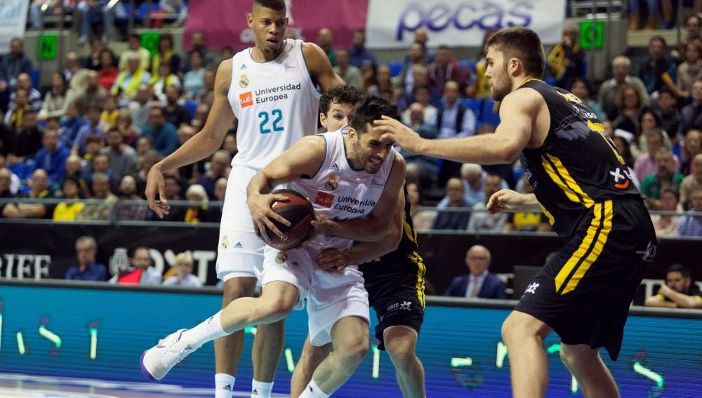 Campazzo intenta penetrar a canasta ante el Tenerife