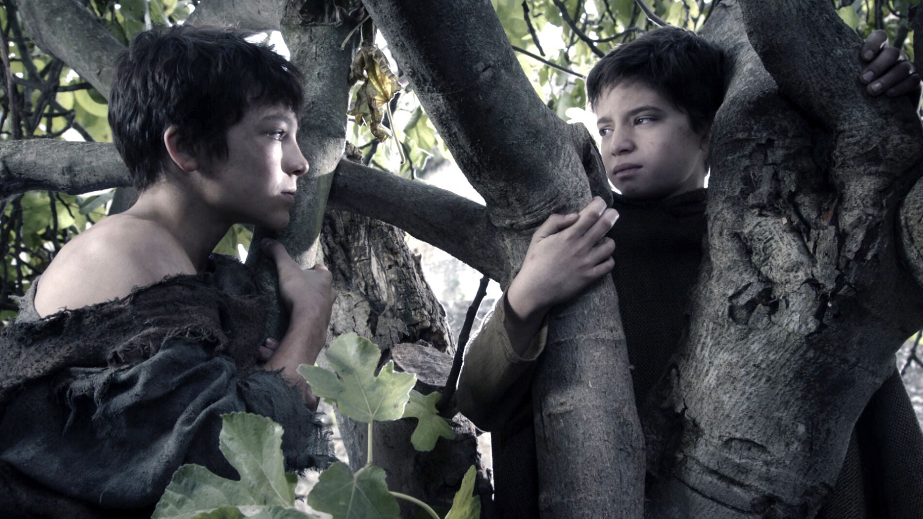 Joan templa las l&aacute;grimas de Arnau convirti&eacute;ndose en su inseparable 