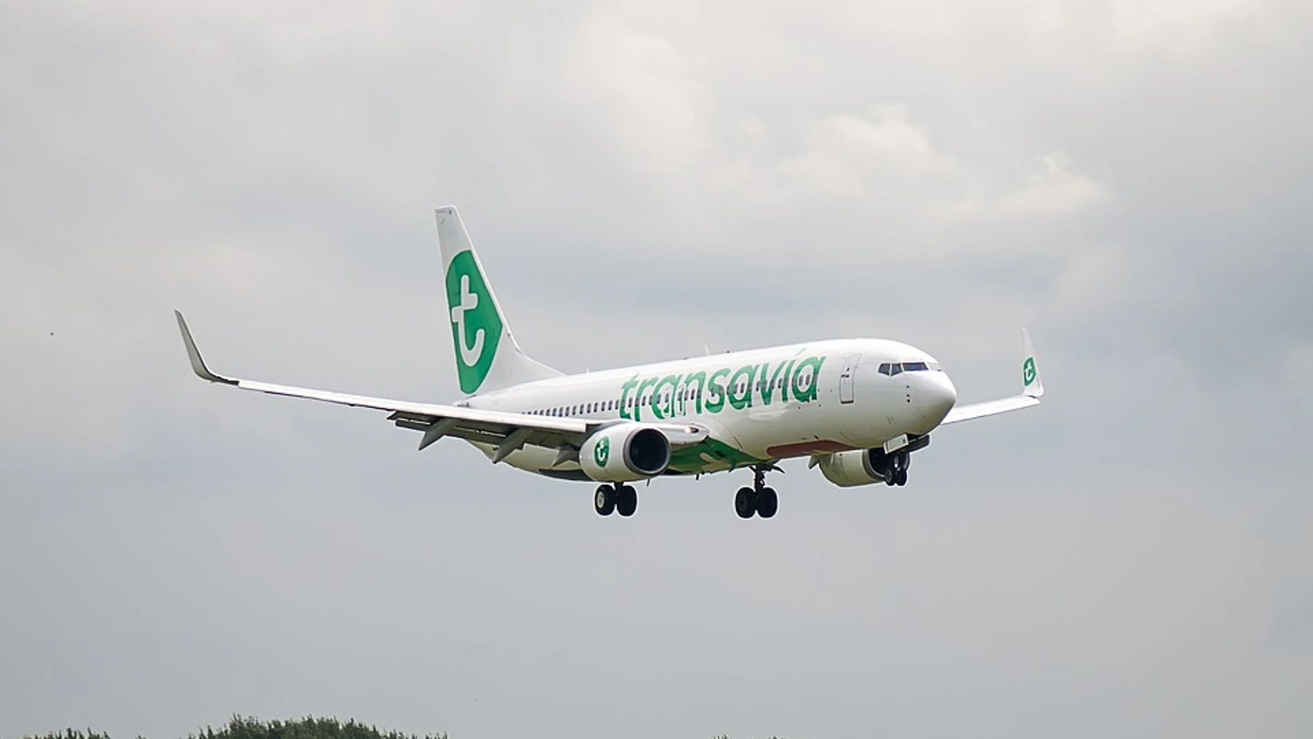 Un avión de la aerolínea Transavia Un avión de la aerolínea Transavia