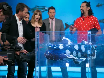 Marron nos presenta en 'El Hormiguero 3.0' una nueva criatura Marron nos presenta en 'El Hormiguero 3.0' una nueva criatura