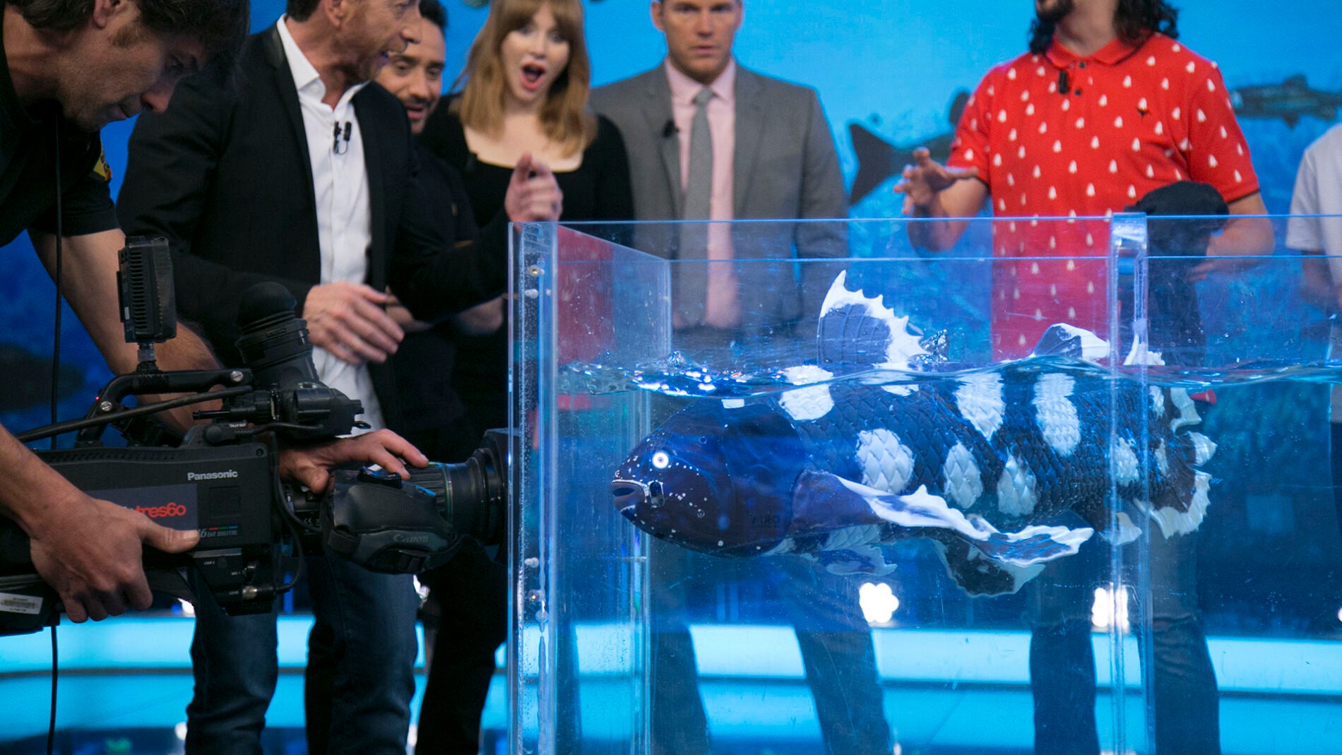 Marron nos presenta en 'El Hormiguero 3.0' una nueva criatura