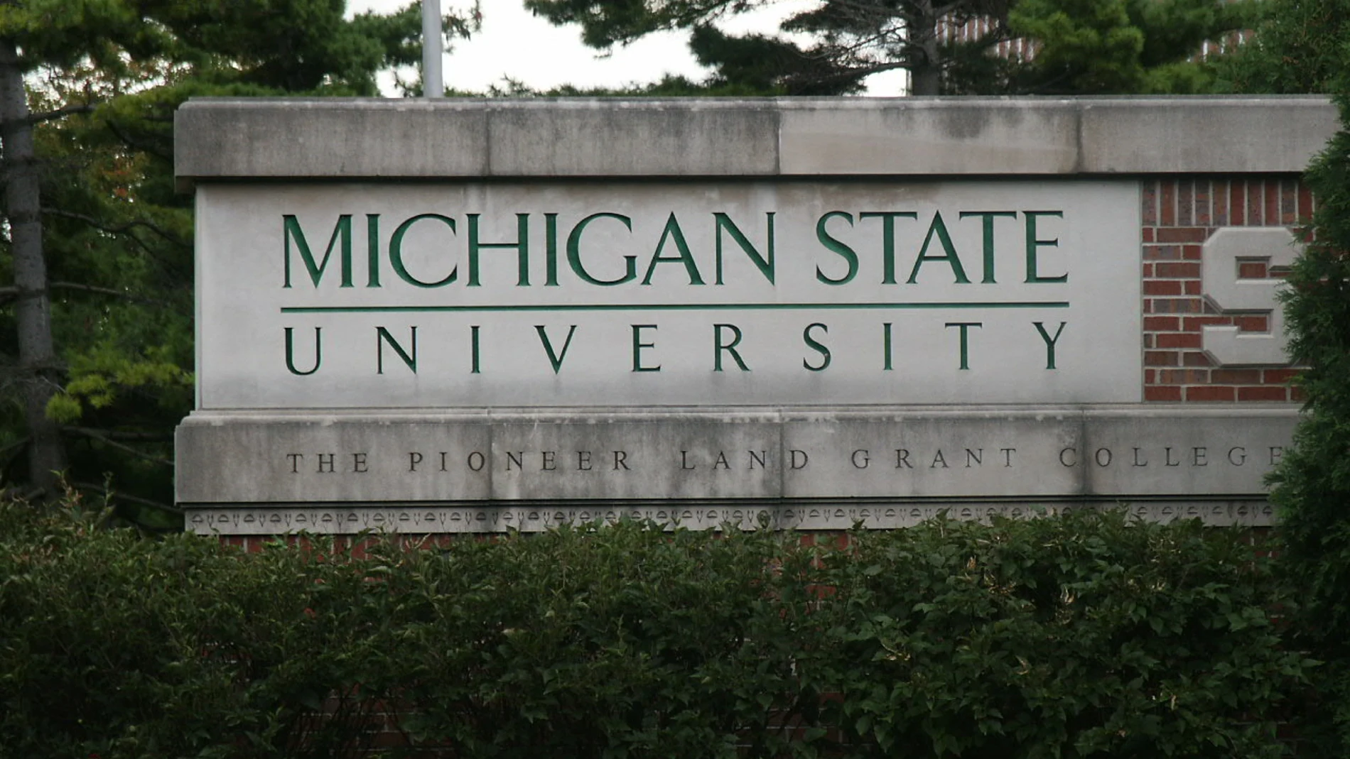 Universidad Estatal de Michigan (MSU) Universidad Estatal de Michigan (MSU)