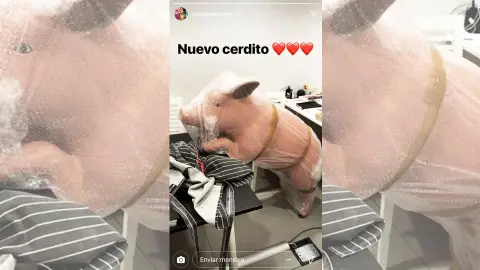 Cerdito de 'La noche de Rober' Cerdito de 'La noche de Rober'