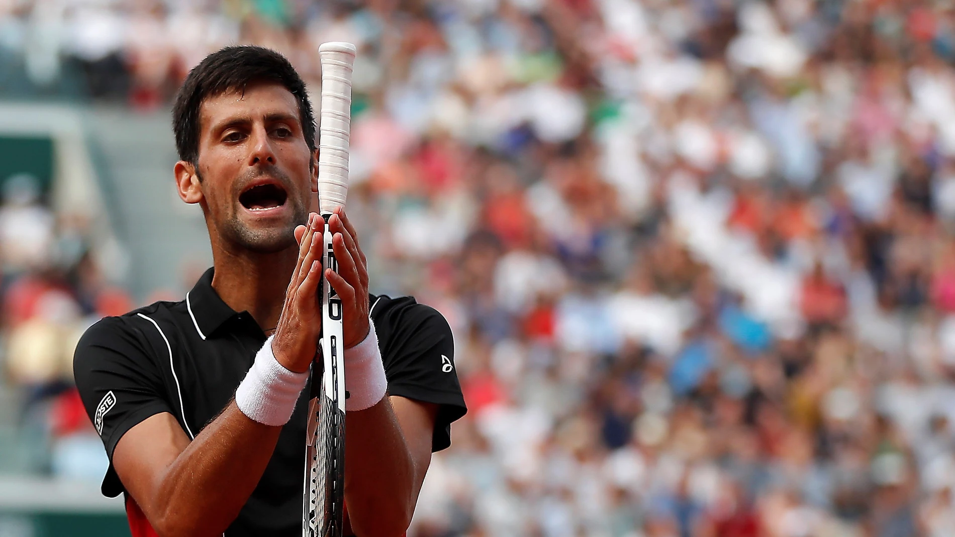 Djokovic se lamenta tras un punto ante Cecchinato Djokovic se lamenta tras un punto ante Cecchinato