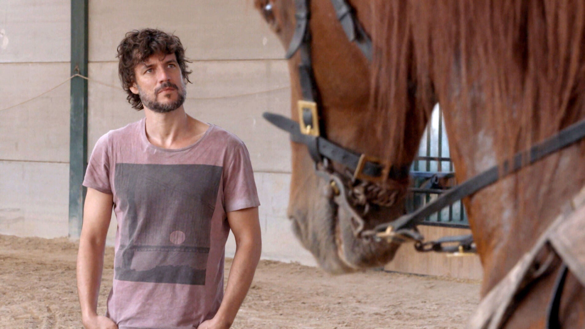Acompa&ntilde;amos a Daniel Grao a una de sus clases para montar a caballo 