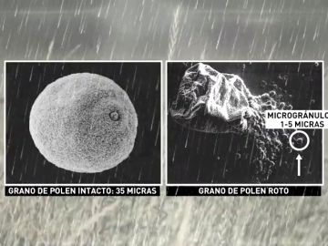 <p>Las tormentas intensifican los síntomas de la alergia en España</p>