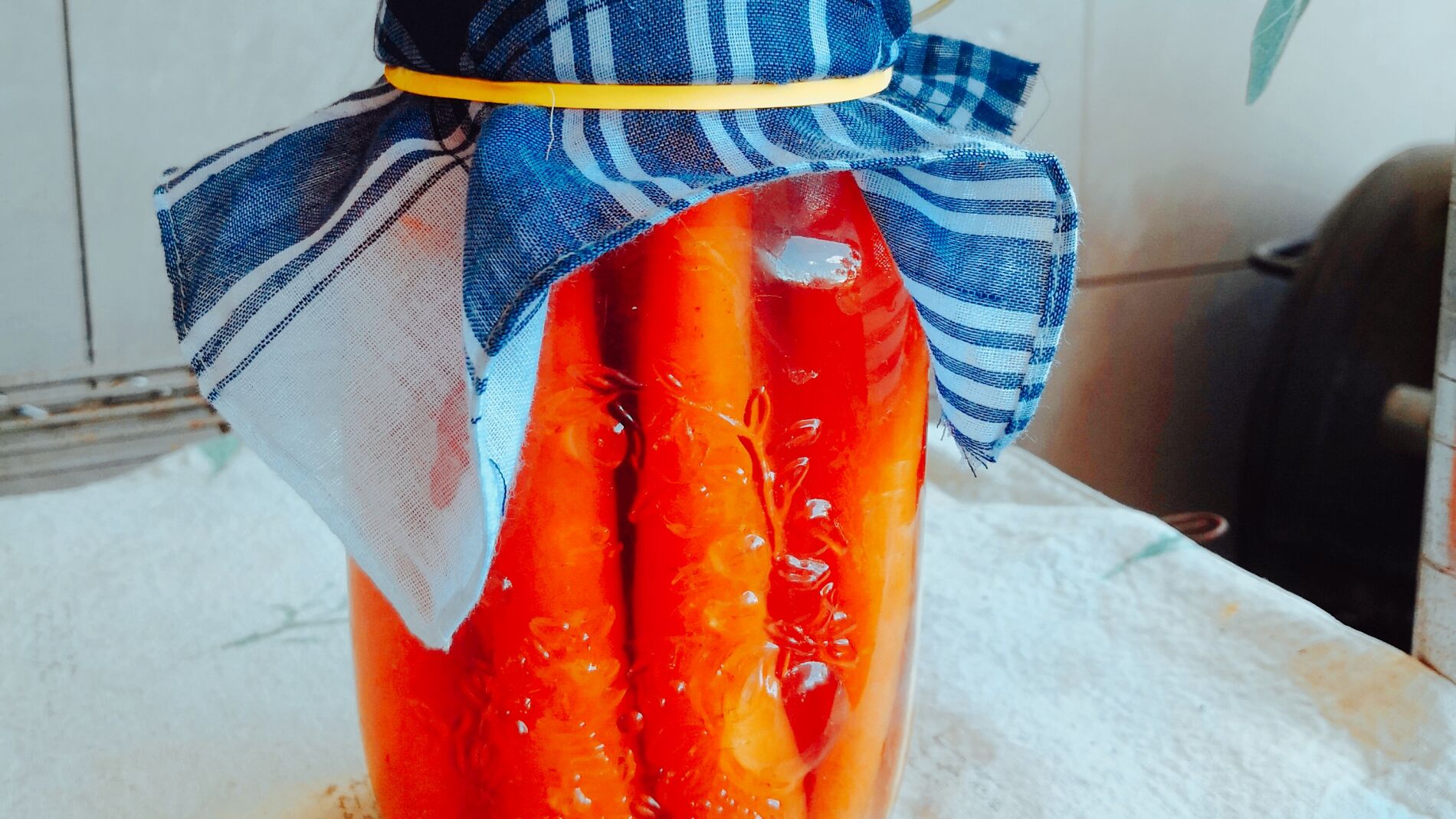 Zanahorias en salmuera