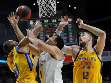 Felipe Reyes, en la serie de semifinales ante el Herbalife Gran Canaria Felipe Reyes, en la serie de semifinales ante el Herbalife Gran Canaria