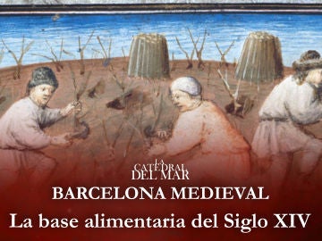 La base alimentaria del Siglo XIV 