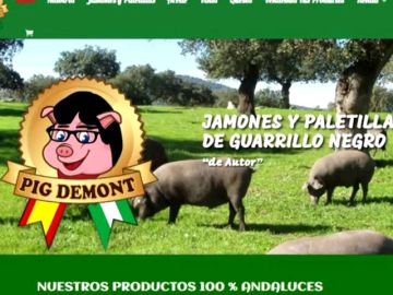 Patentes prohíbe usar la marca Pig Demont 