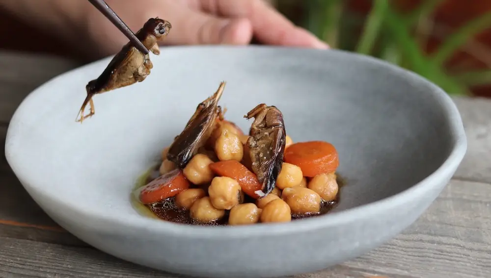 ¿Recetas gourmet con insectos? ¿Por qué no?