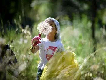 Una niña colaborando en el proyecto Una niña colaborando en el proyecto