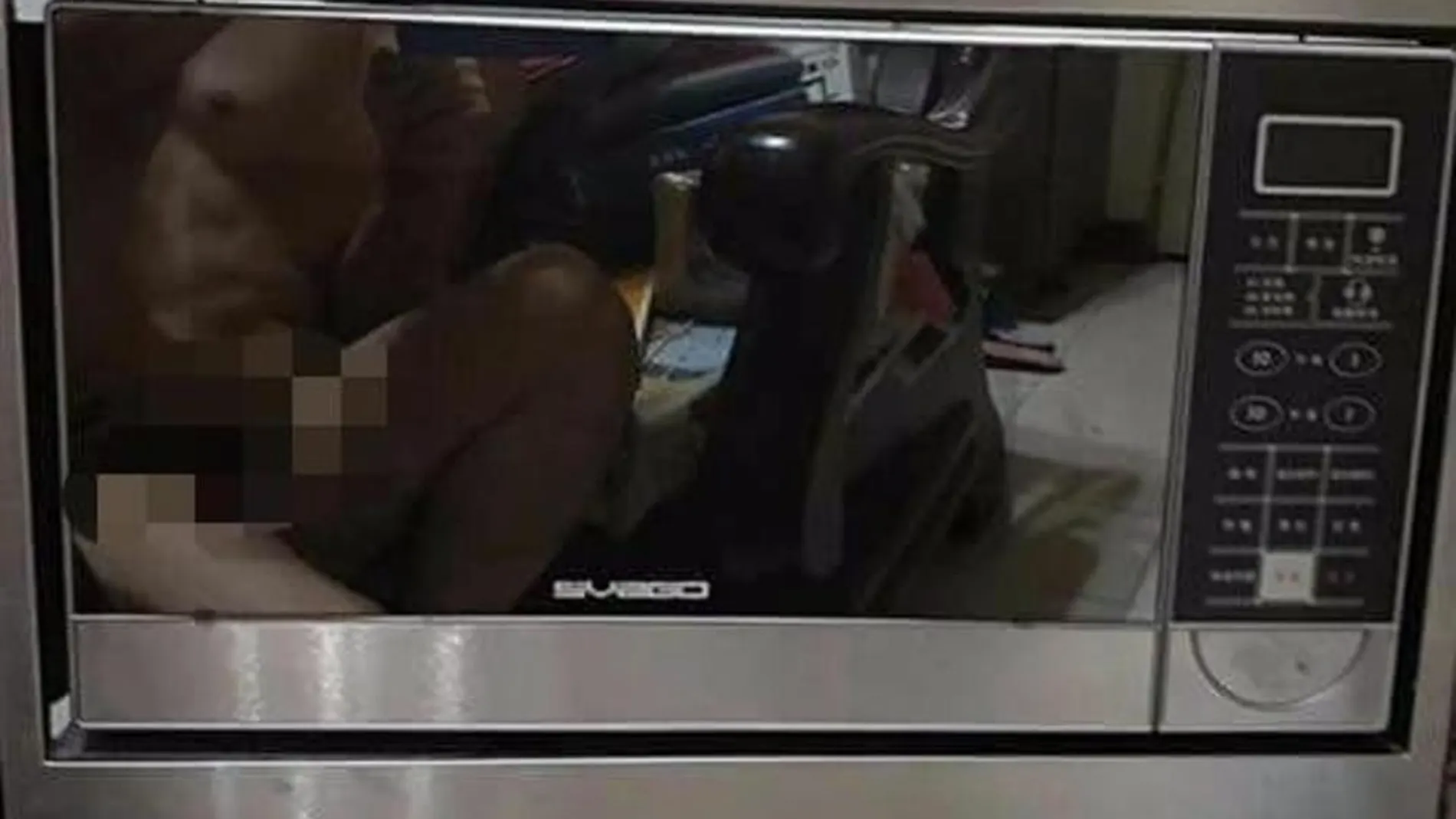 El anuncio del microondas publicado El anuncio del microondas publicado