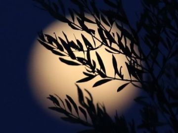 El verano brindará un eclipse total de Luna visible desde España