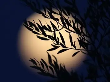El verano brindará un eclipse total de Luna visible desde España El verano brindará un eclipse total de Luna visible desde España