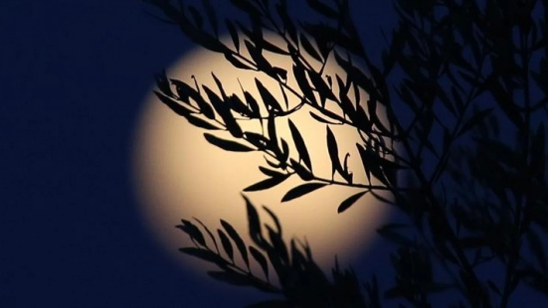 El verano brindará un eclipse total de Luna visible desde España El verano brindará un eclipse total de Luna visible desde España