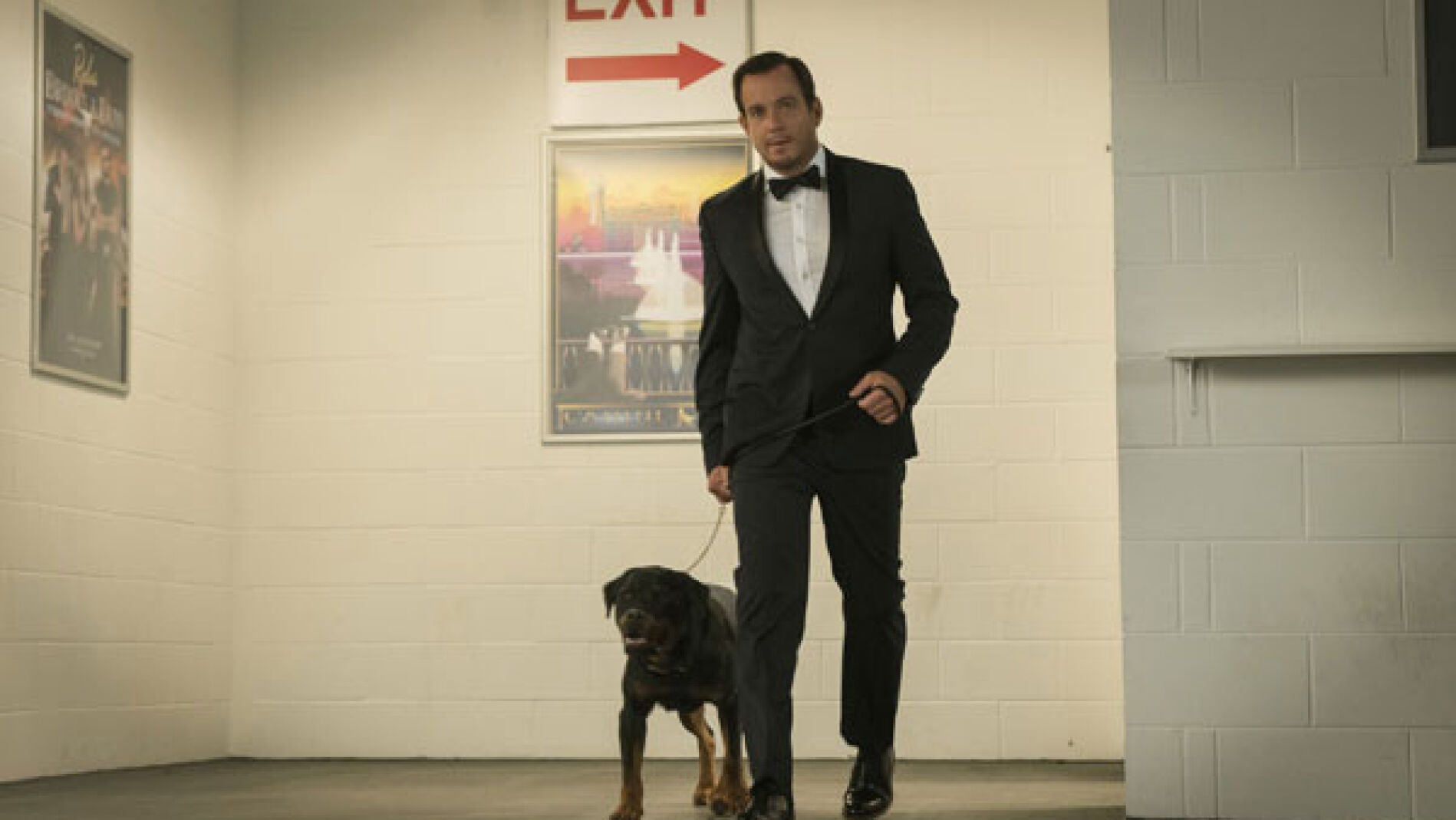 Superagente canino