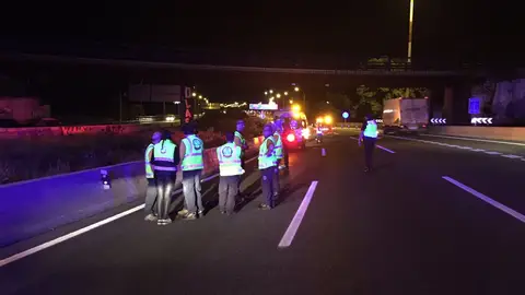 Servicios de emergencias atienden un atropello mortal en Madrid Servicios de emergencias atienden un atropello mortal en Madrid