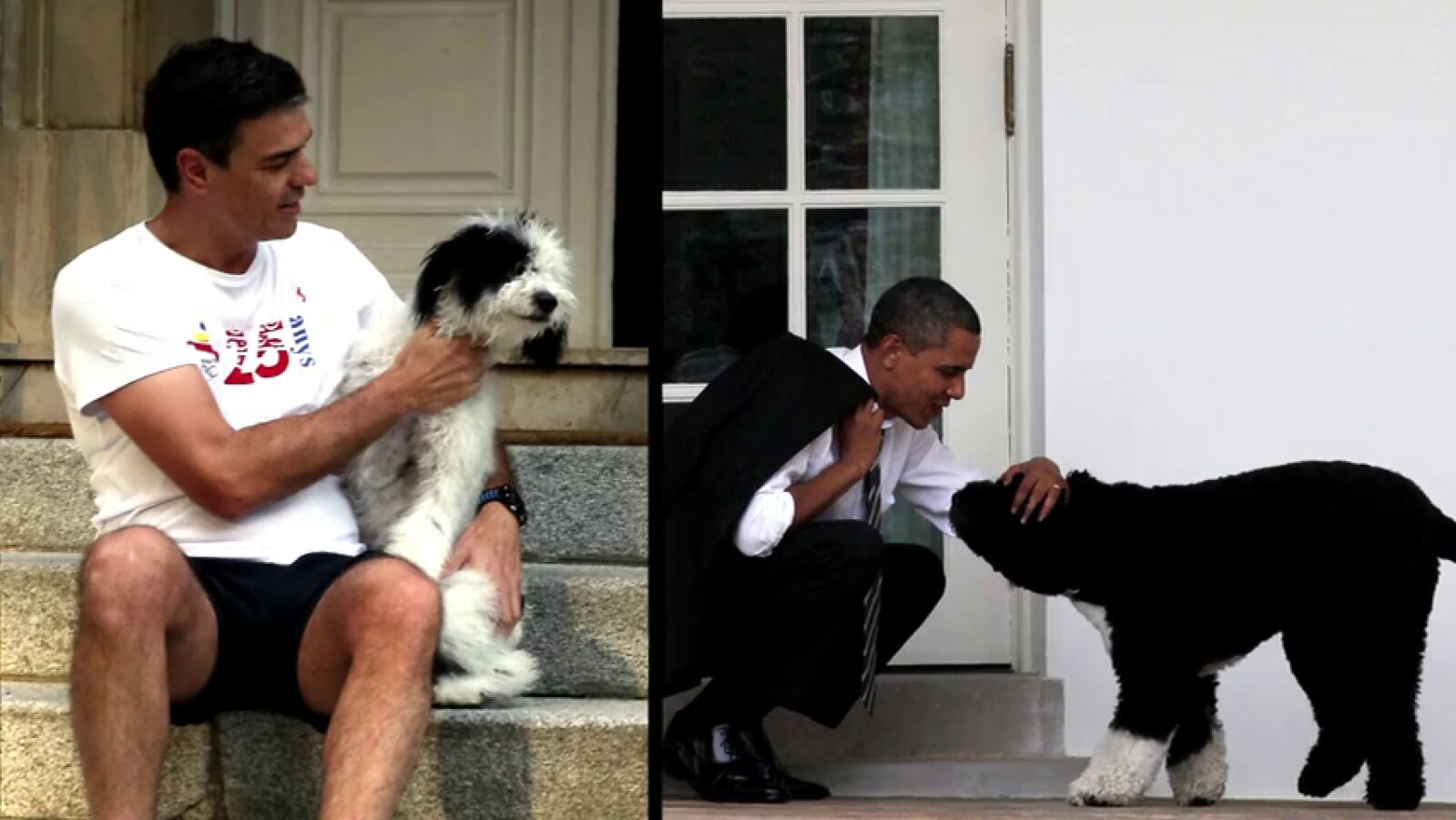 Las campañas de comunicación de los presidentes... y la aportación de sus mascotas