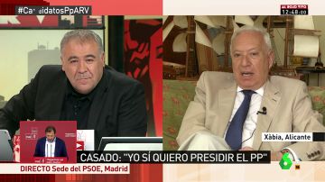 José Manuel García Margallo: 