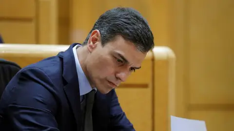 Pedro Sánchez en el Senado Pedro Sánchez en el Senado