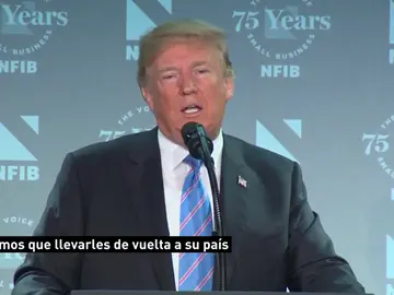 Trump defiende la separación de menores de sus familias como la opción más eficaz para luchar contra la inmigración ilegal Trump defiende la separación de menores de sus familias como la opción más eficaz para luchar contra la inmigración ilegal