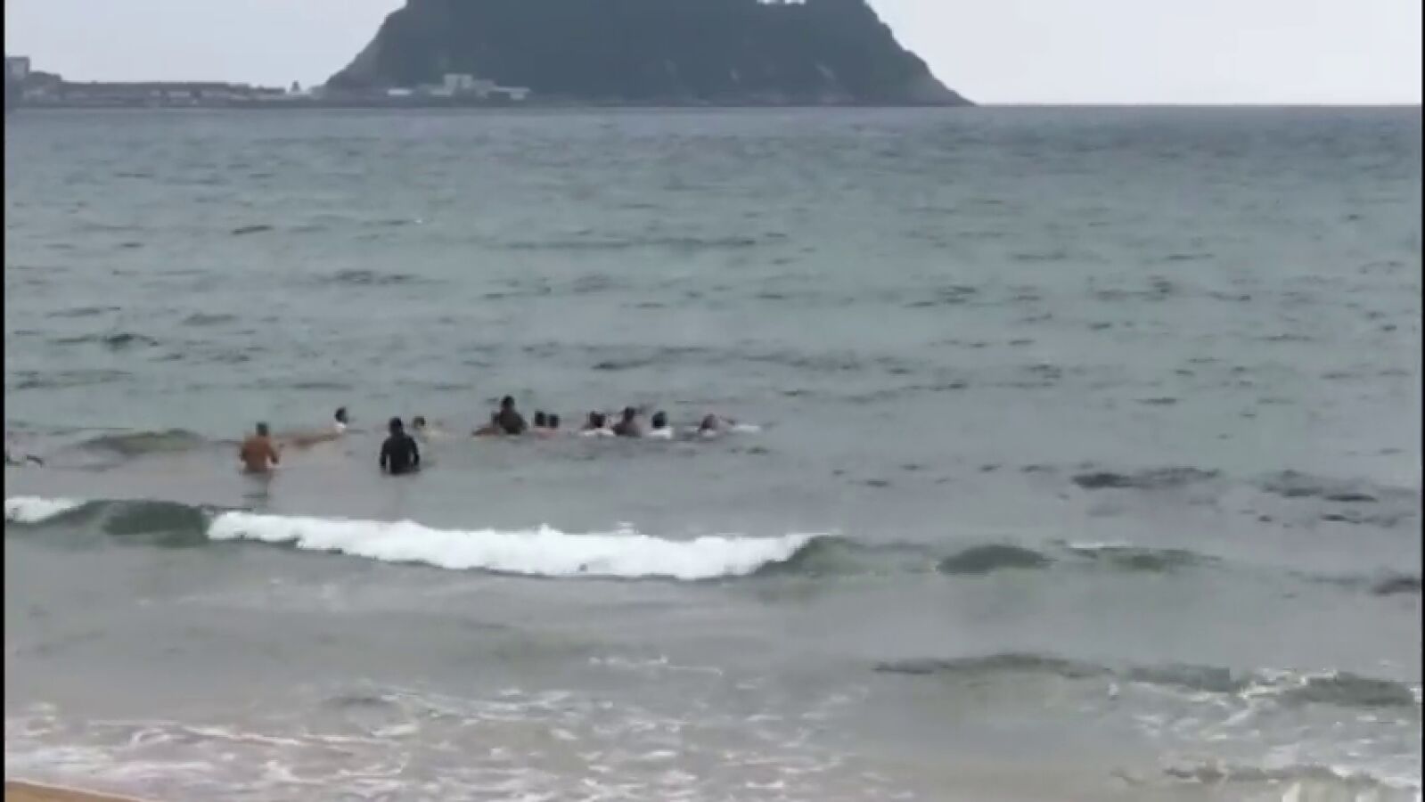 Varios bañistas consiguen liberar a una cría de ballena varada