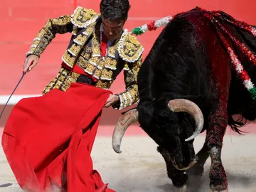 El diestro José Tomás. El diestro José Tomás.