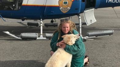 Un perro salva la vida de una joven excursionista sorda que se cae por una montaña nevada en Alaska