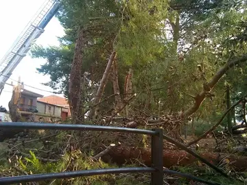 Fuertes vientos en Longares, en Zaragoza Fuertes vientos en Longares, en Zaragoza