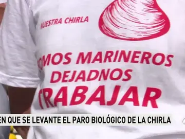 CHIRLAS - NUEVA CHIRLAS - NUEVA