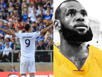 Ibrahimovic y LeBron Ibrahimovic y LeBron