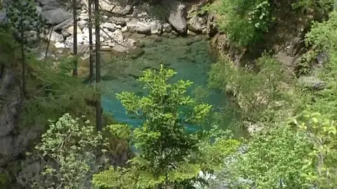 El rey Don Felipe preside el acto que conmemora los 100 años de los primeros parques nacionales El rey Don Felipe preside el acto que conmemora los 100 años de los primeros parques nacionales