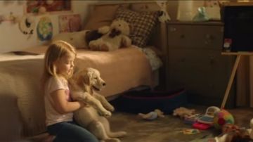 Campaña contra el abandono animal