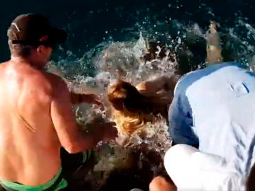Una mujer es arrastrada por un tiburón en Australia