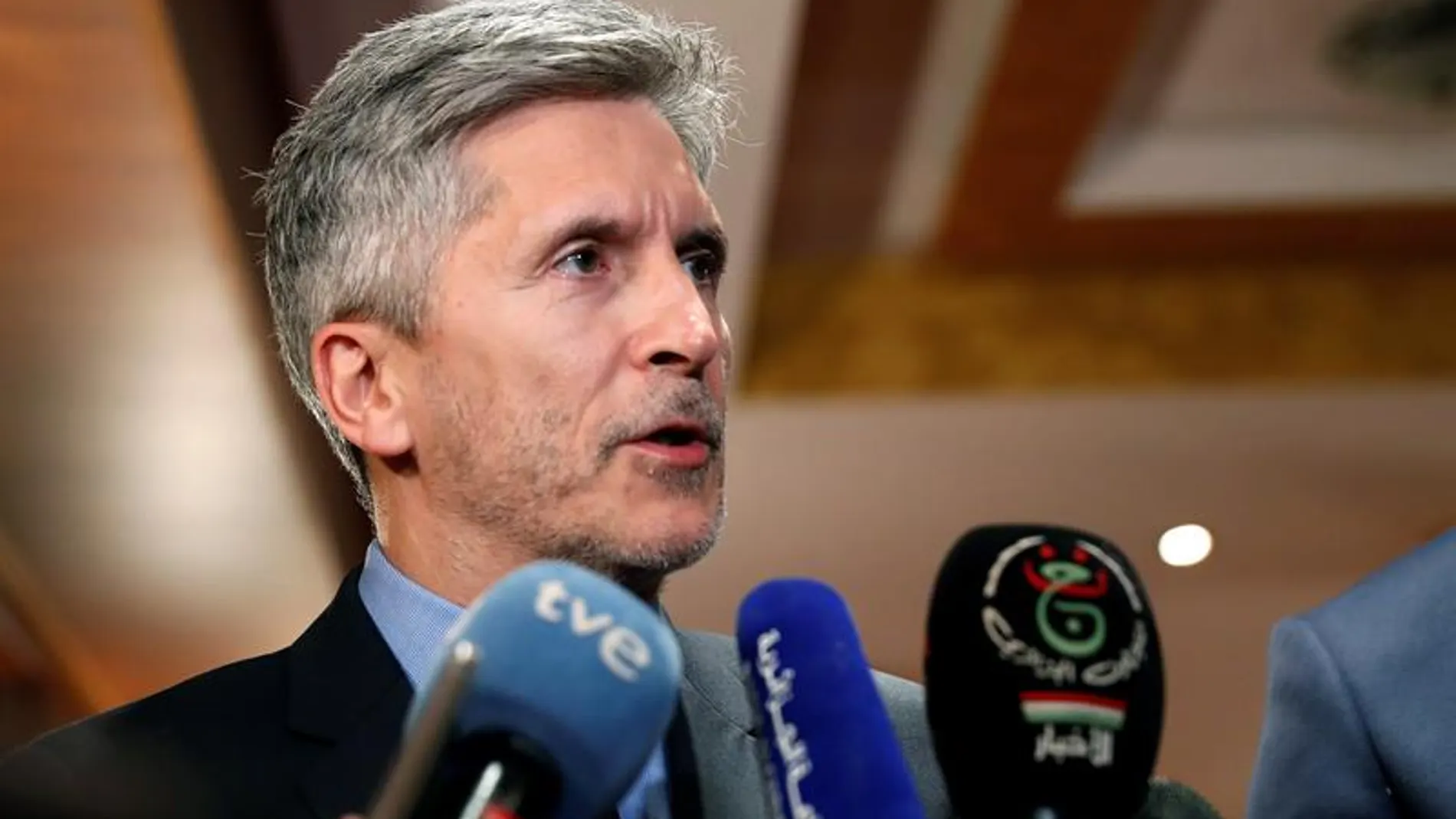 Fernando Grande-Marlaska Fernando Grande-Marlaska