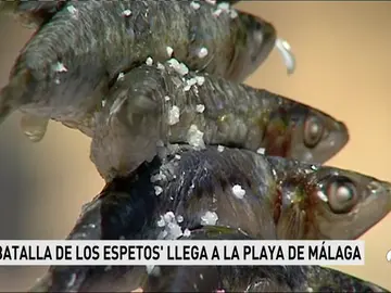 GUERRA ESPETOS GUERRA ESPETOS