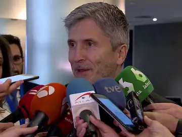 Grande-Marlaska, sobre el acercamiento de los políticos catalanes presos: "No es ningún tipo de peaje, es cumplimiento estricto de la ley" Grande-Marlaska, sobre el acercamiento de los políticos catalanes presos: "No es ningún tipo de peaje, es cumplimiento estricto de la ley"