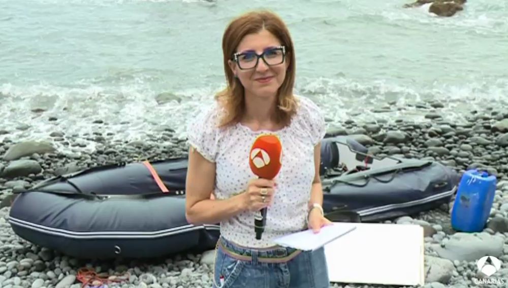 NARCOPATERA