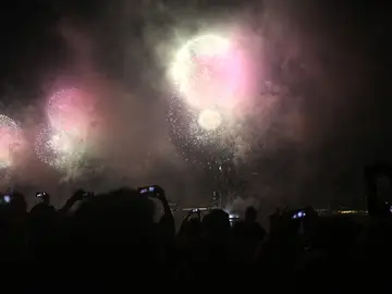 Imagen de los fuegos artificiales del 4 de julio desde el Parque Estatal Gantry Imagen de los fuegos artificiales del 4 de julio desde el Parque Estatal Gantry