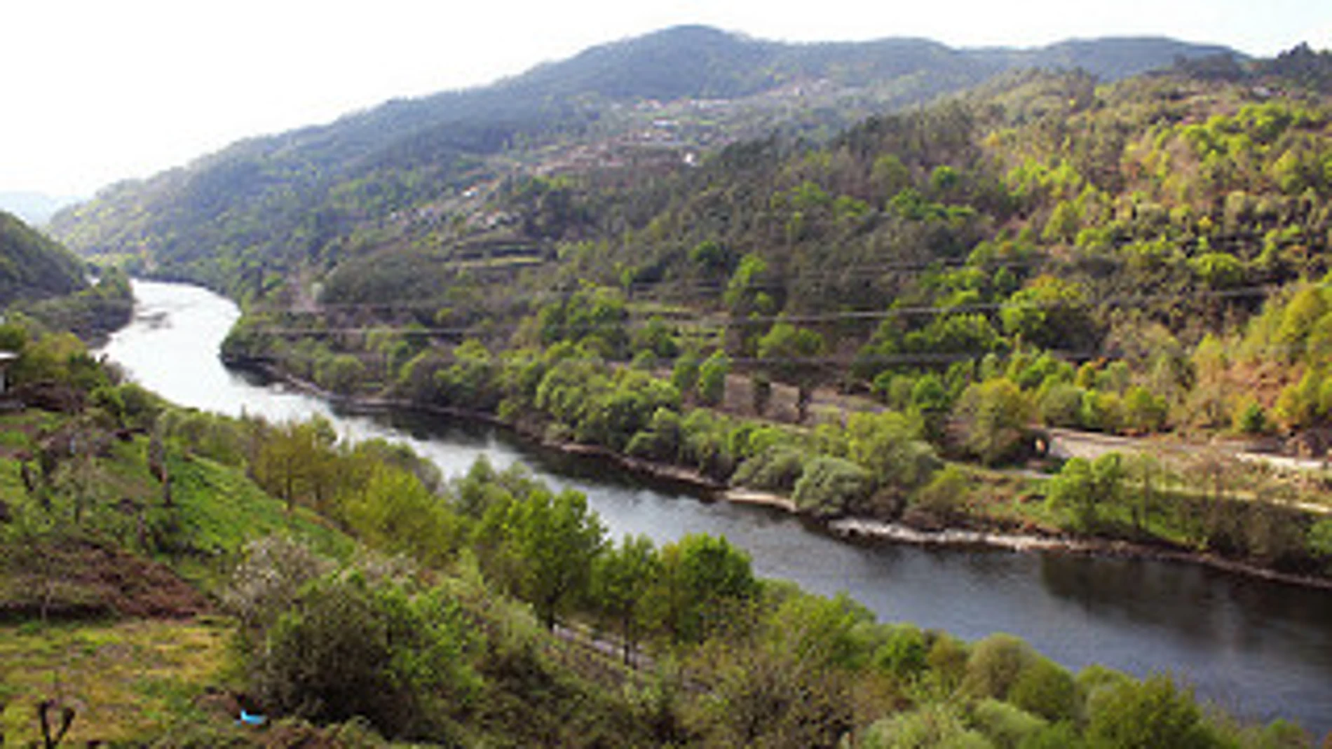 Río Miño Río Miño