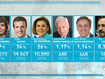 boletin boletin
