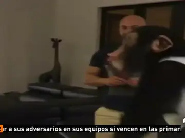 CHIMPANCE CHIMPANCE