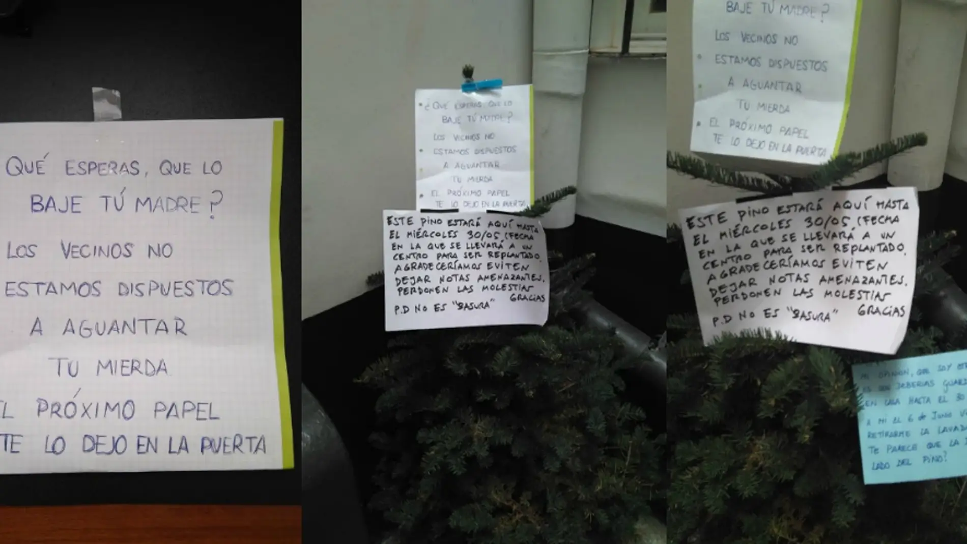 Vecinos de Brato Estacatto