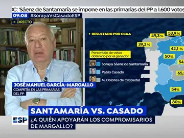 José Manuel García-Margallo José Manuel García-Margallo