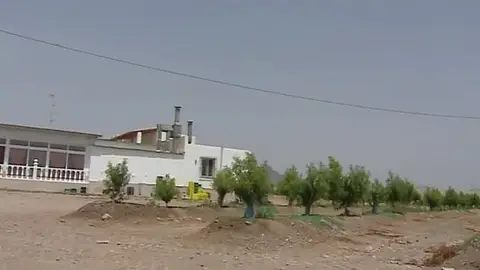 Mata a su hermanastro en una discusión Mata a su hermanastro en una discusión